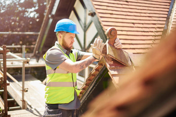 Best Roof Gutter Cleaning  in New Miami, OH